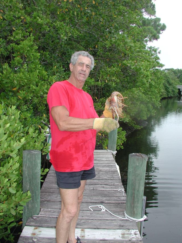 Diving for Lobster in Florida