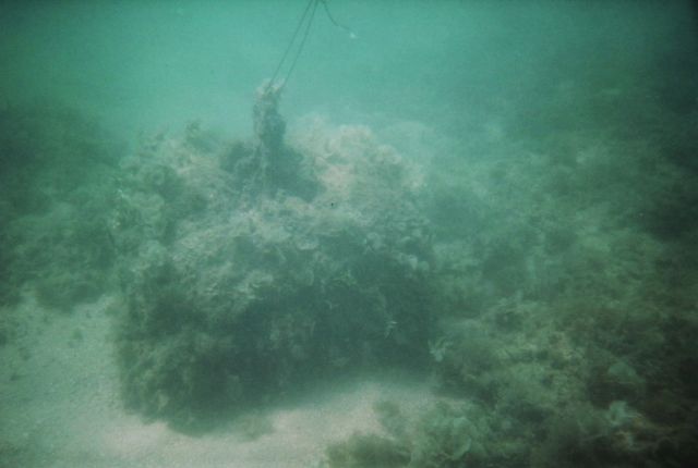 Urca de Lima Dive