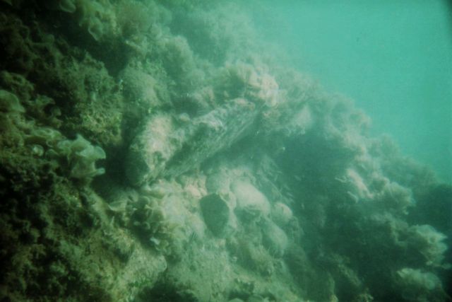 Urca de Lima Dive