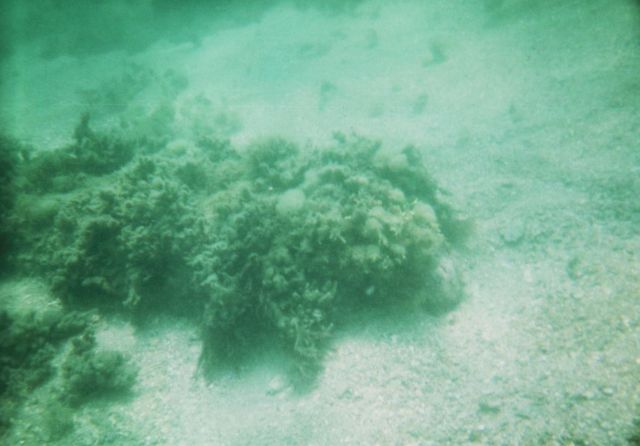 Urca de Lima Dive