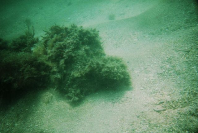 Urca de Lima Dive