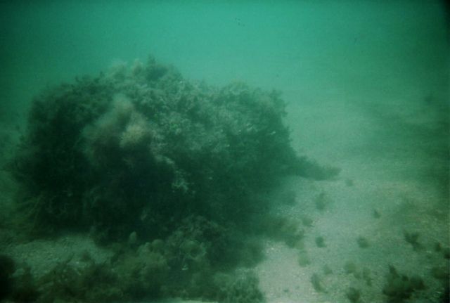 Urca de Lima Dive