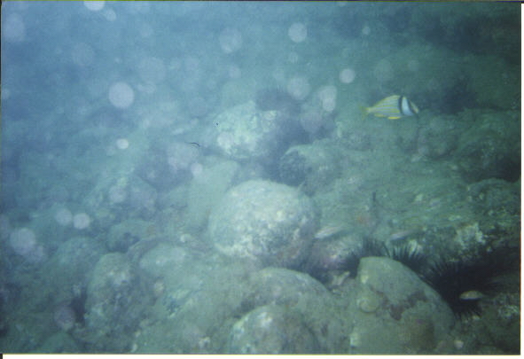 Urca de Lima - Ballast Stones