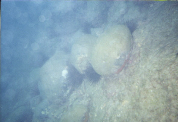 Urca de Lima - Ballast Stones